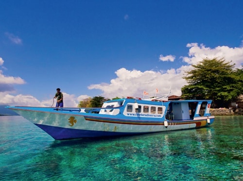 Dive in Sulawesi