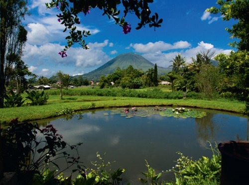 Manado City Tour